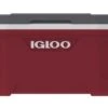 IGLOO Latitude 52QT Cool Box Red 1 IGLOO Latitude 52QT Cool Box Red -Vango Store k0f2e951baeacf3928ea847c824c4b8f0