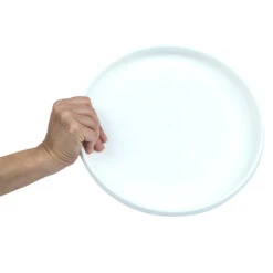 Plastic Ultimate Disc - Surf Illustration -Vango Store k6abadd68bd21e02f4eeb8232e0eaab0c