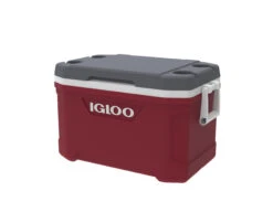 IGLOO Latitude 52QT Cool Box Red -Vango Store kd151df04d57c9fc7ca9aef084985ced5
